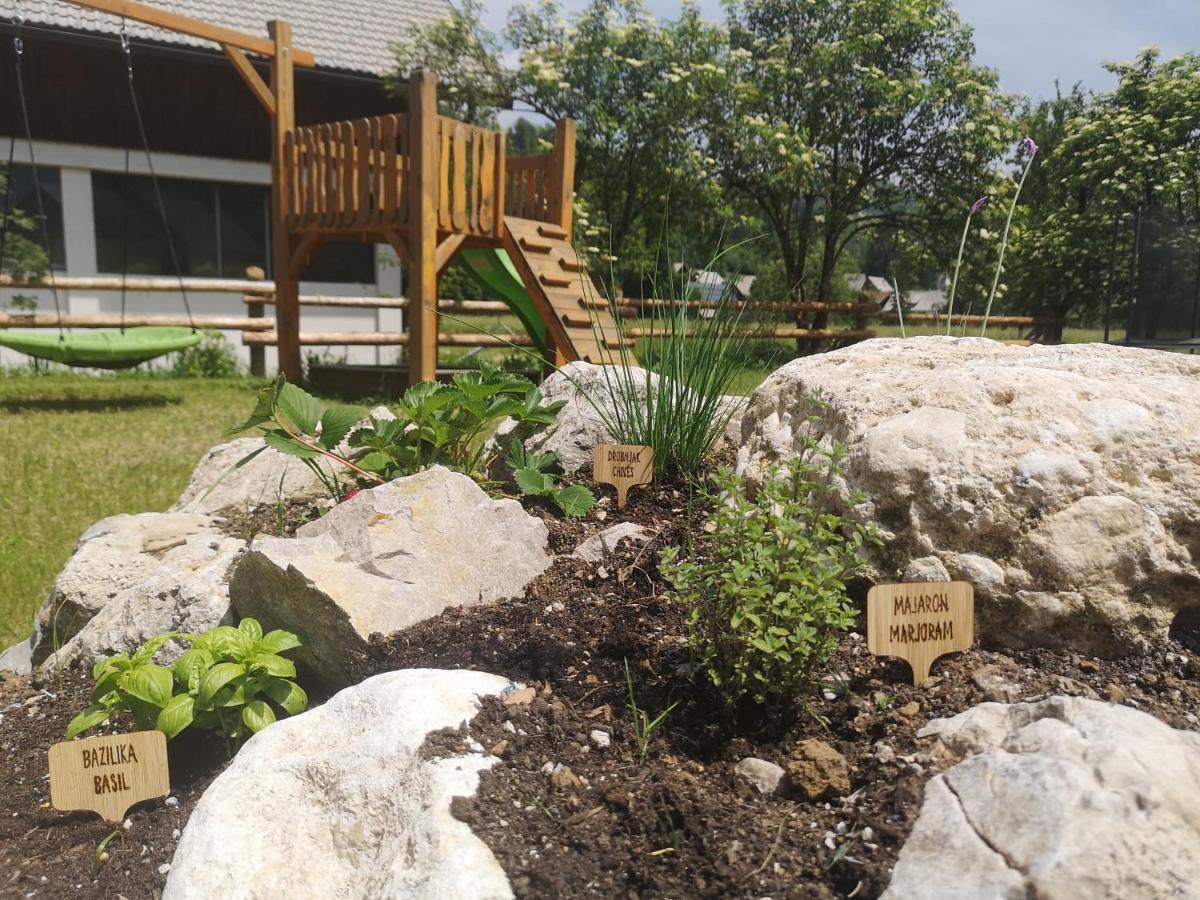 Alpine Joy Bohinj